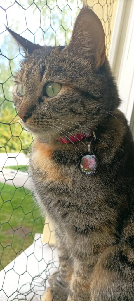 Jukka & Nana + tunniste