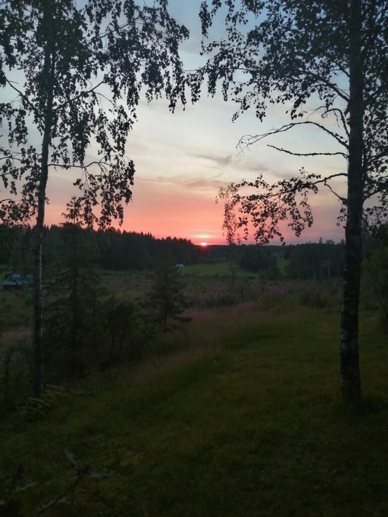 Jukka Salmenkylä tausta